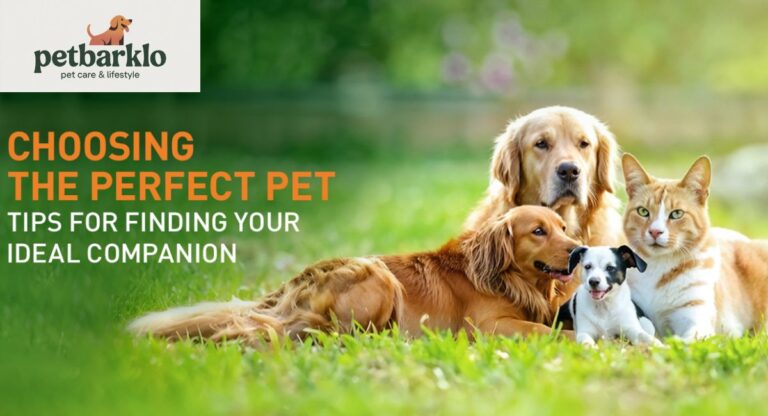 Why Choosing the Perfect Pet for Your Family Matters